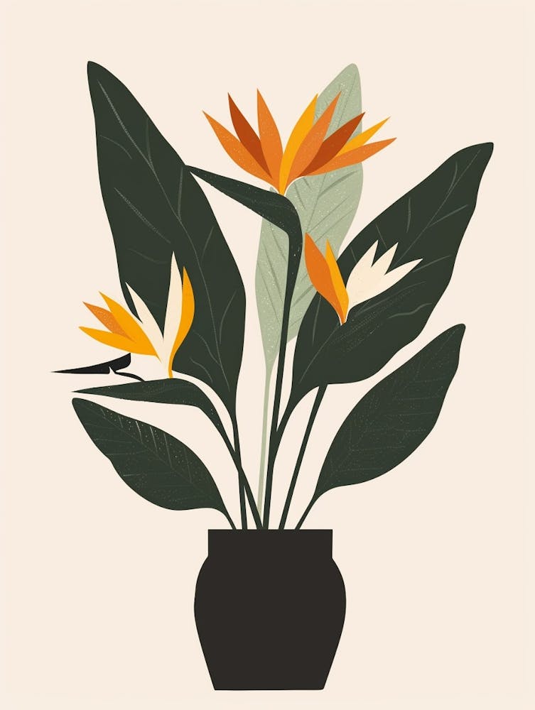 Bird Of Paradise Plant Minimalist Illustration 1