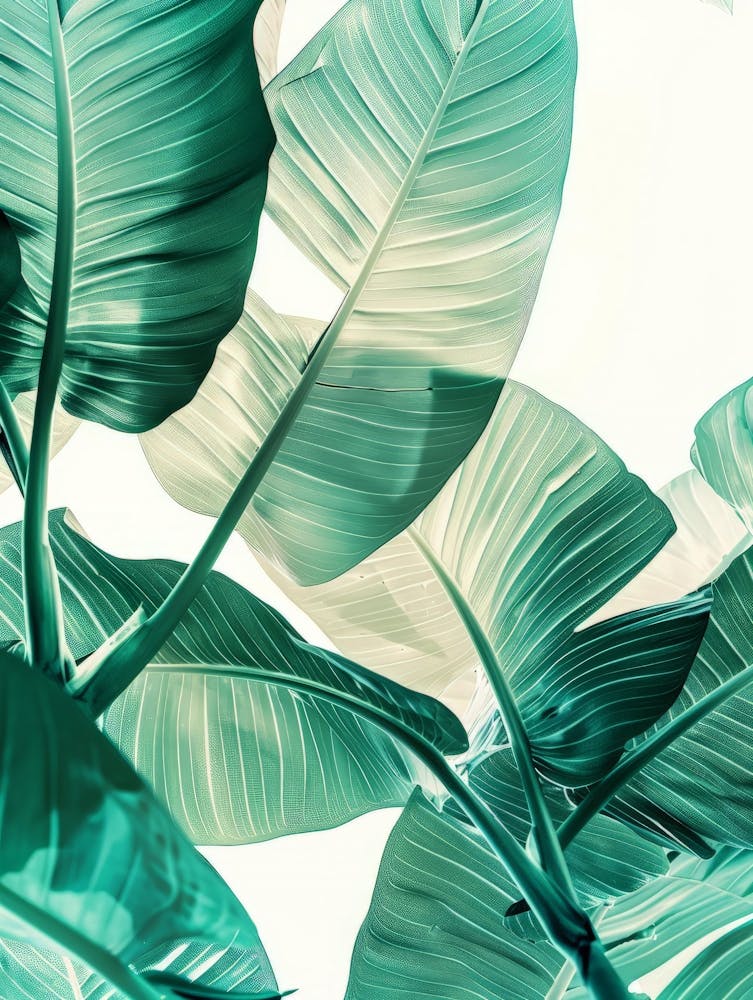 Tropical Leaves 127