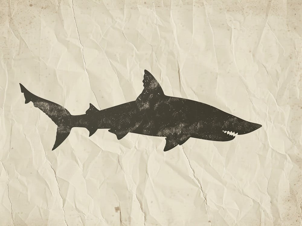 Largetooth Cookiecutter Shark Silhouette 2