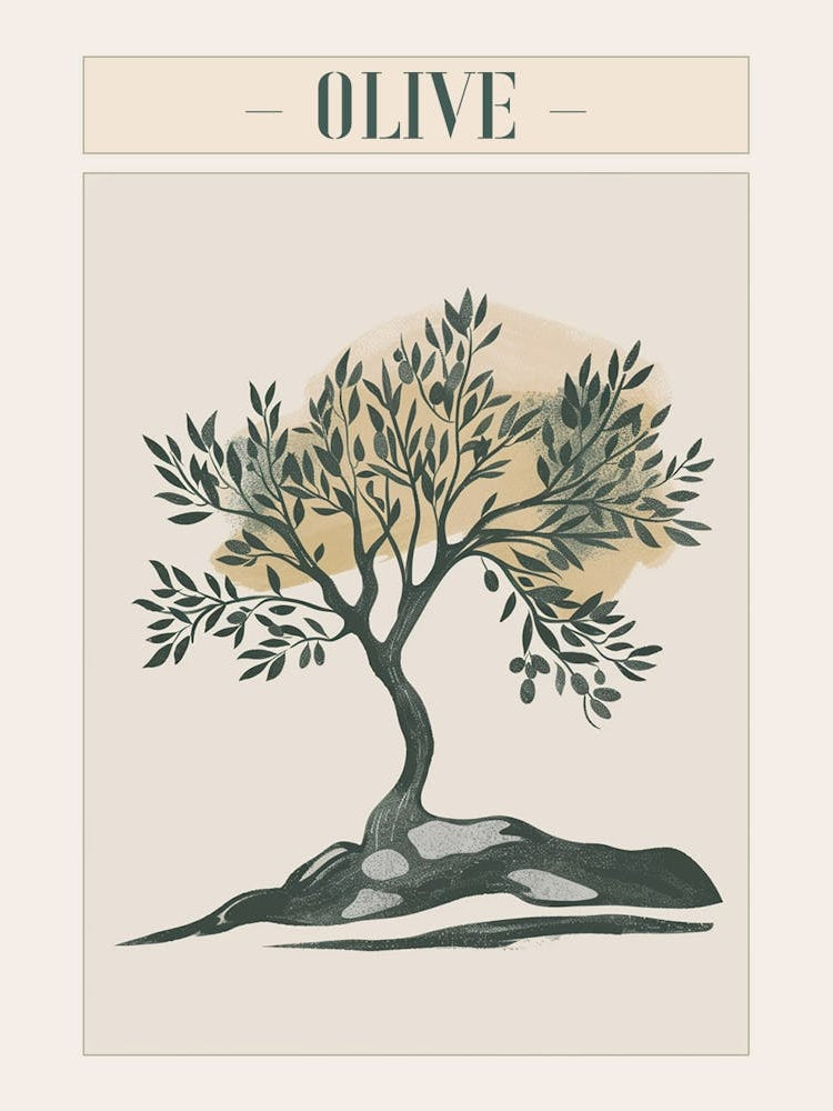 Olive Tree Minimal Japandi Illustration 2 Poster