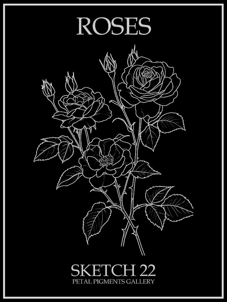 Roses Sketch 22 Poster Inverted