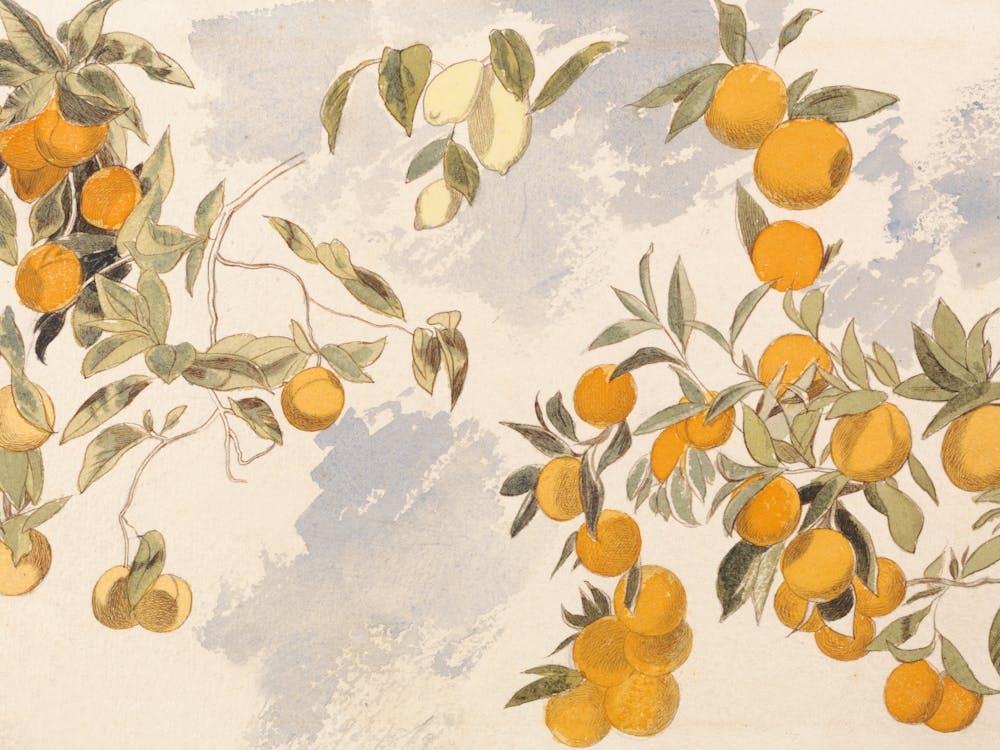 Vintage Fruit Trees