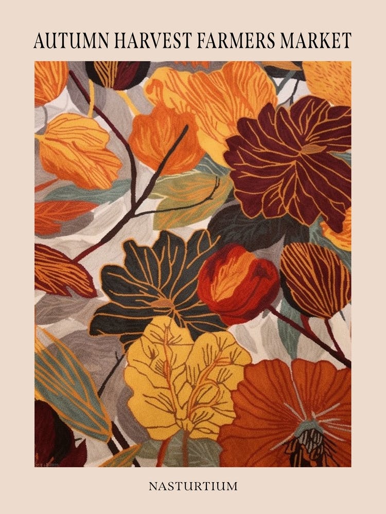 Fall Botanicals Nasturtium 1 Poster