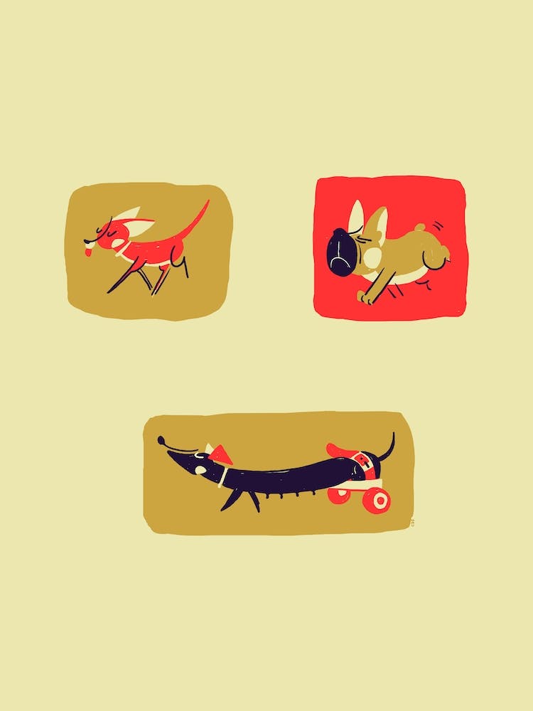 Dogs