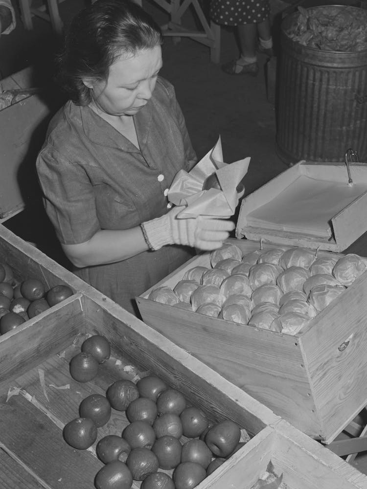 Farm Woman Who Lives At The Fsa (Farm Security Administration) Farm Family Migratory Labor Camp, Yakima, 1