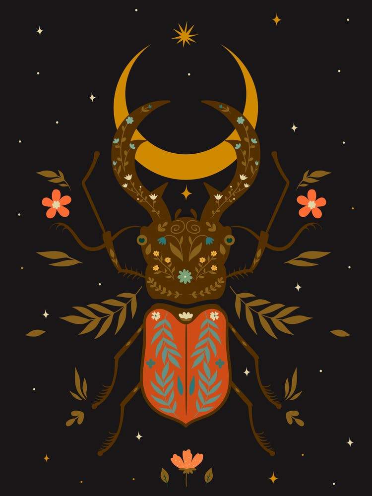 Beetle Scandinavian Boho