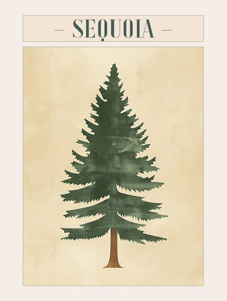 Sequoia Tree Minimal Japandi Illustration 2 Poster