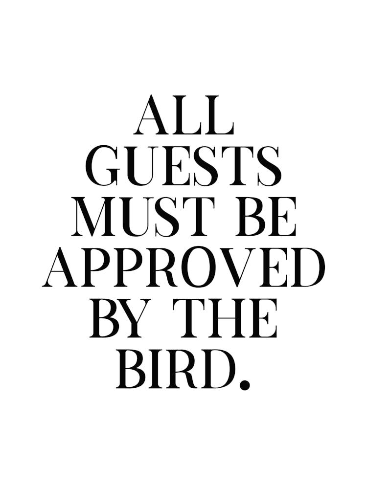 All Guests Must Be Approved By The Bird