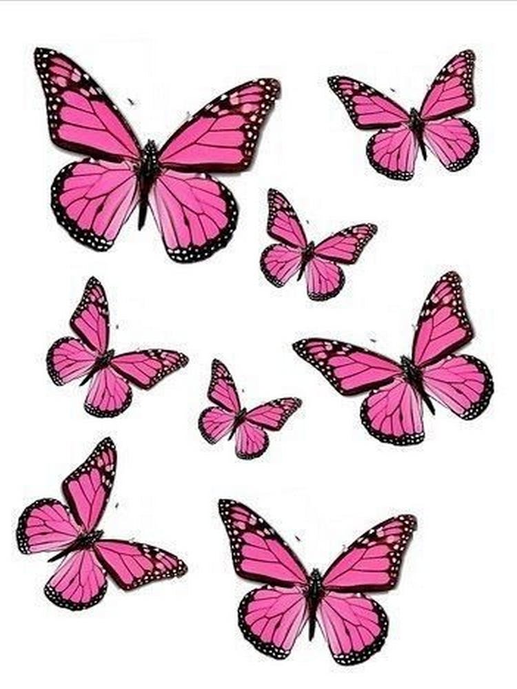 Pink Butterflies 2