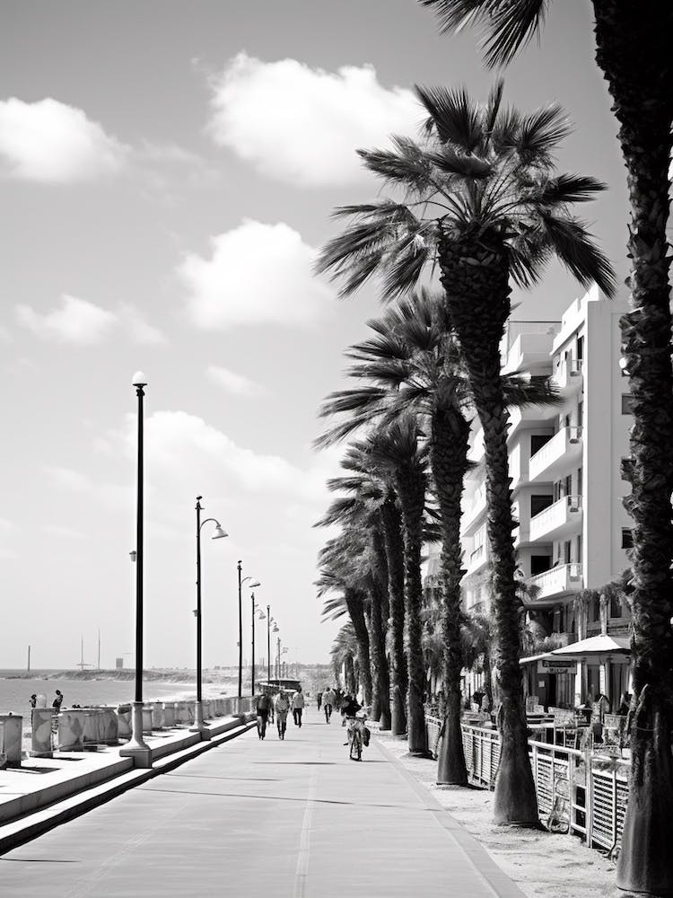 Tel Aviv, Israel, Mediterranean Black And White Photography Analogue 7