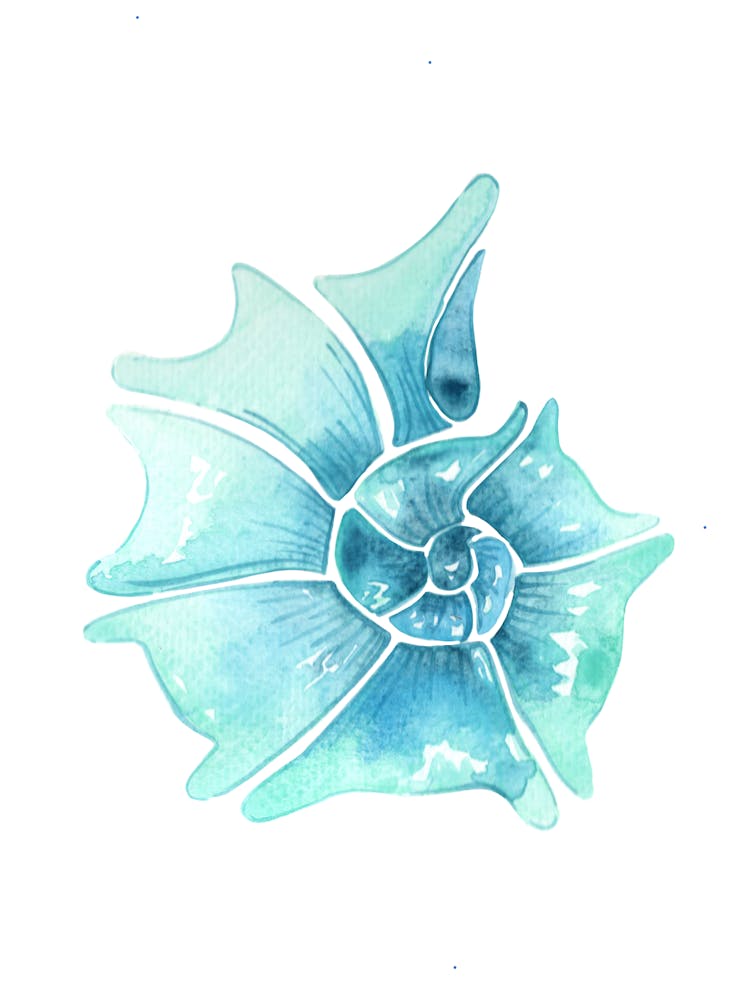 Seashell Watercolor Painting