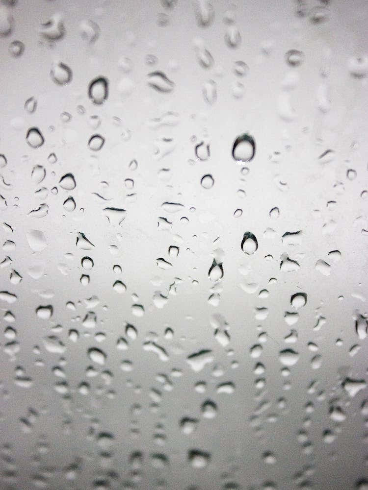 Rain Drops On A Window