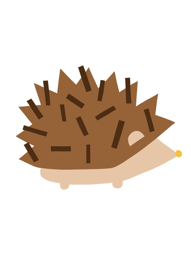 Hedgehog