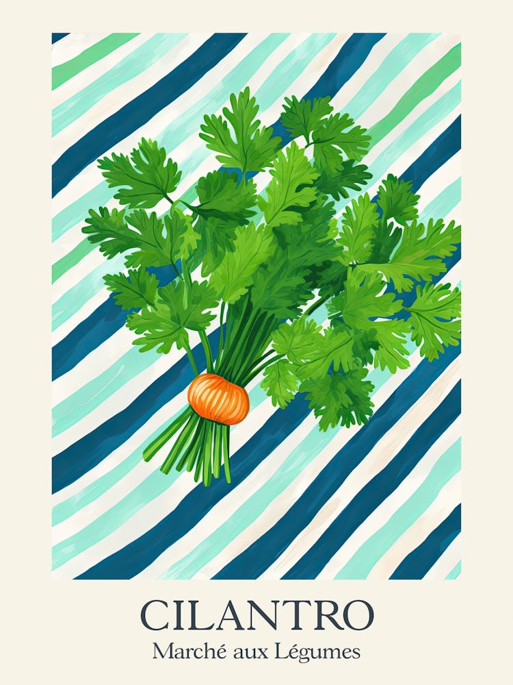 Marche Aux Legumes Cilantro Summer Illustration 2