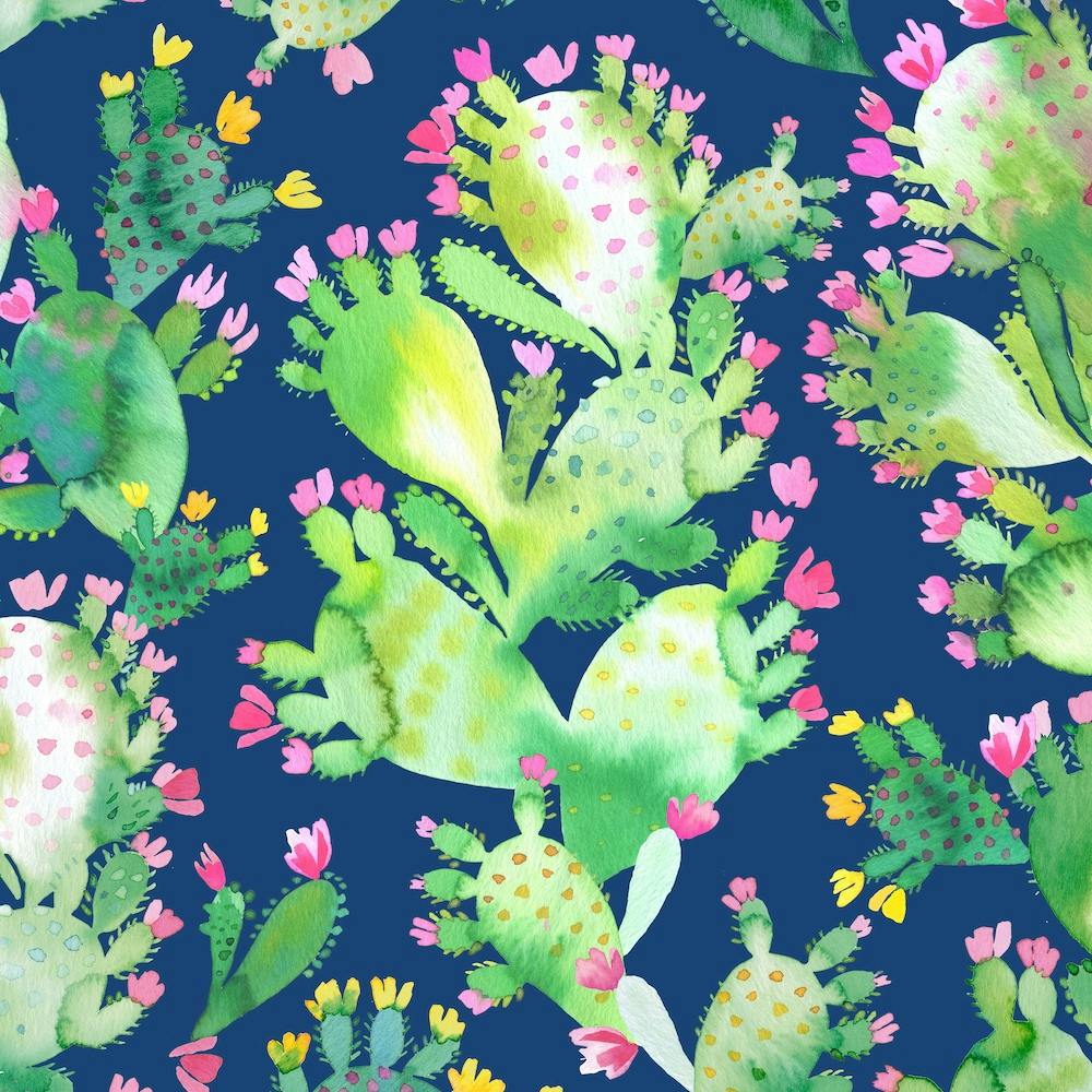 Succulent Cactus Blue Square