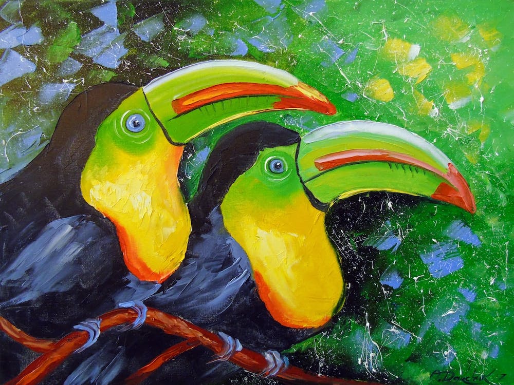 Pair of toucans