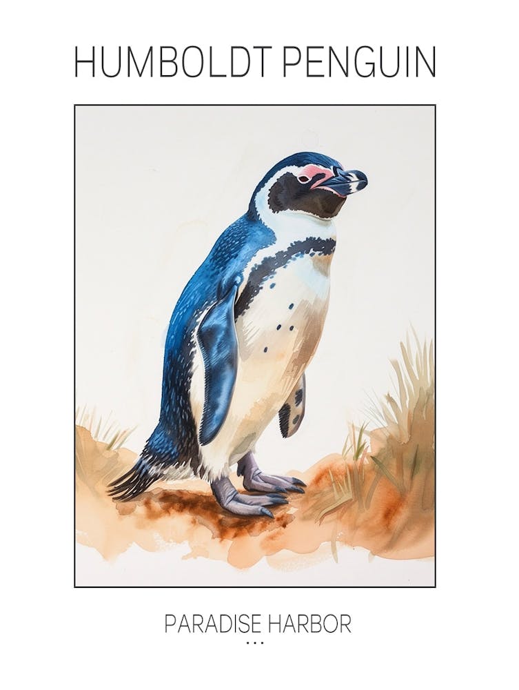 Humboldt Penguin Paradise Harbor Watercolour Painting 3 Poster