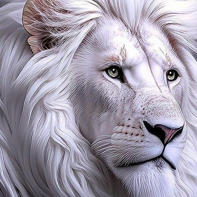White Lion