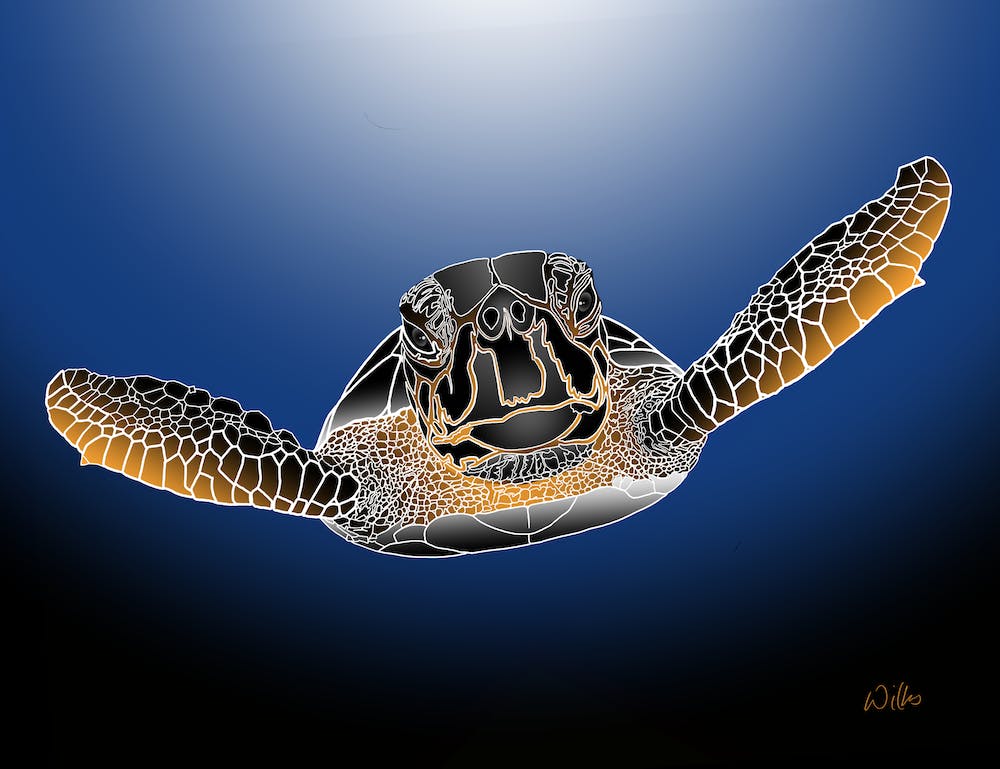 Turtle
