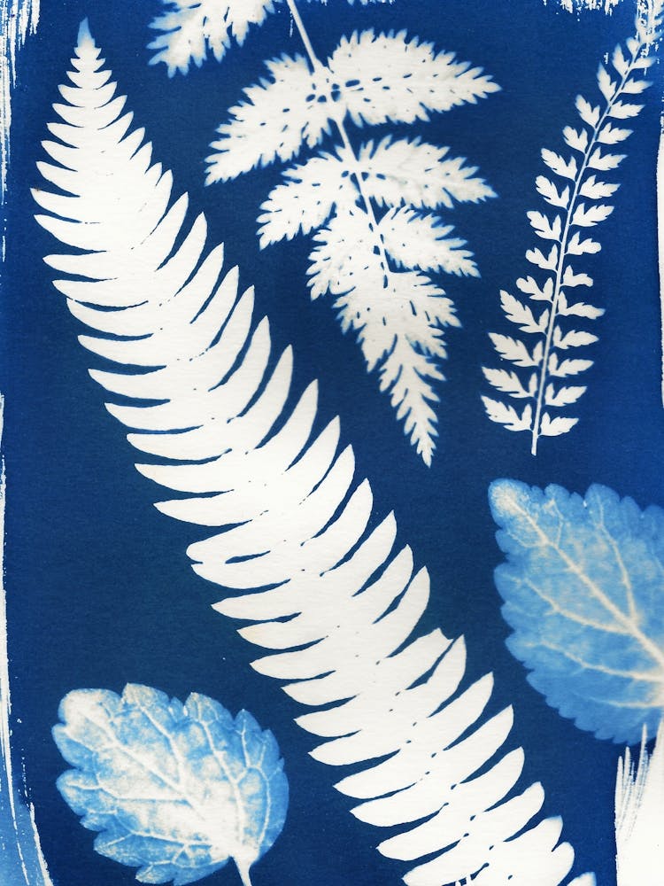 Botanical Leaf Cyanotype Blue
