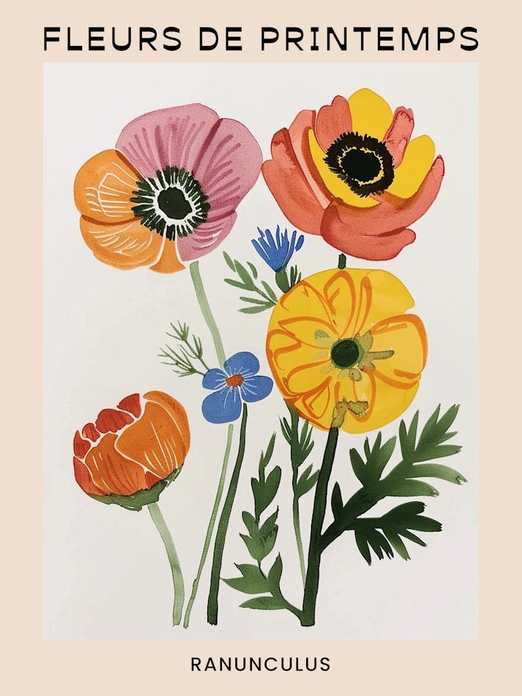 Spring Floral French Poster  Ranunculus 4