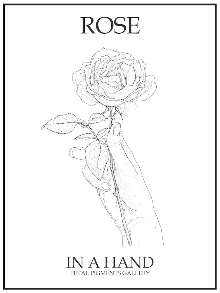 Rose In A Hand Line Drawing 3 Poster