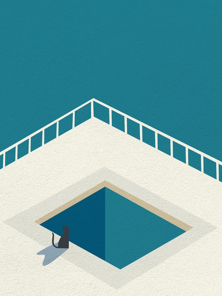 Minimal art Cat In The Pool