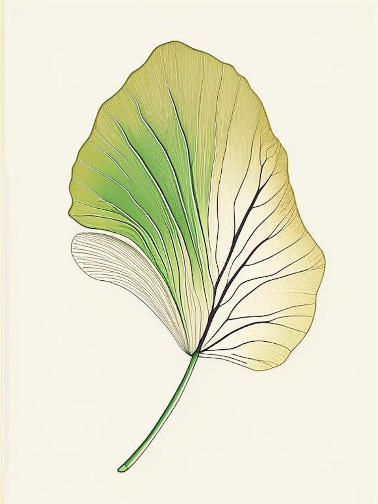 Ginkgoblatt Warme Töne