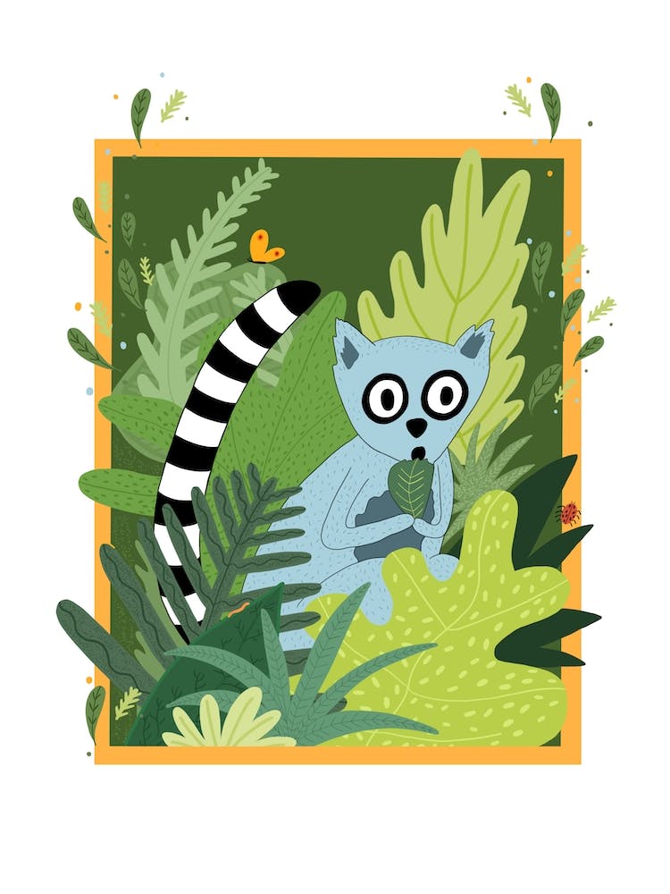 Lemur In The Jungle