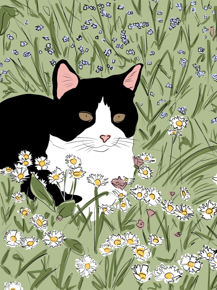 Tuxedo cat chilling on a prairie full of daisies illustration - into the garden