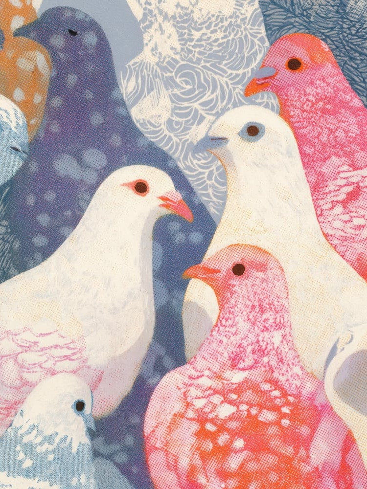 Pigeons 9