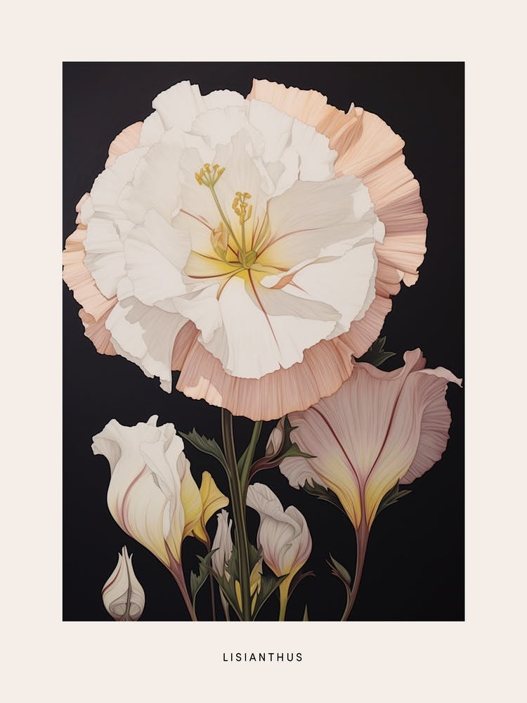 Flower Illustration Lisianthus 4 Poster