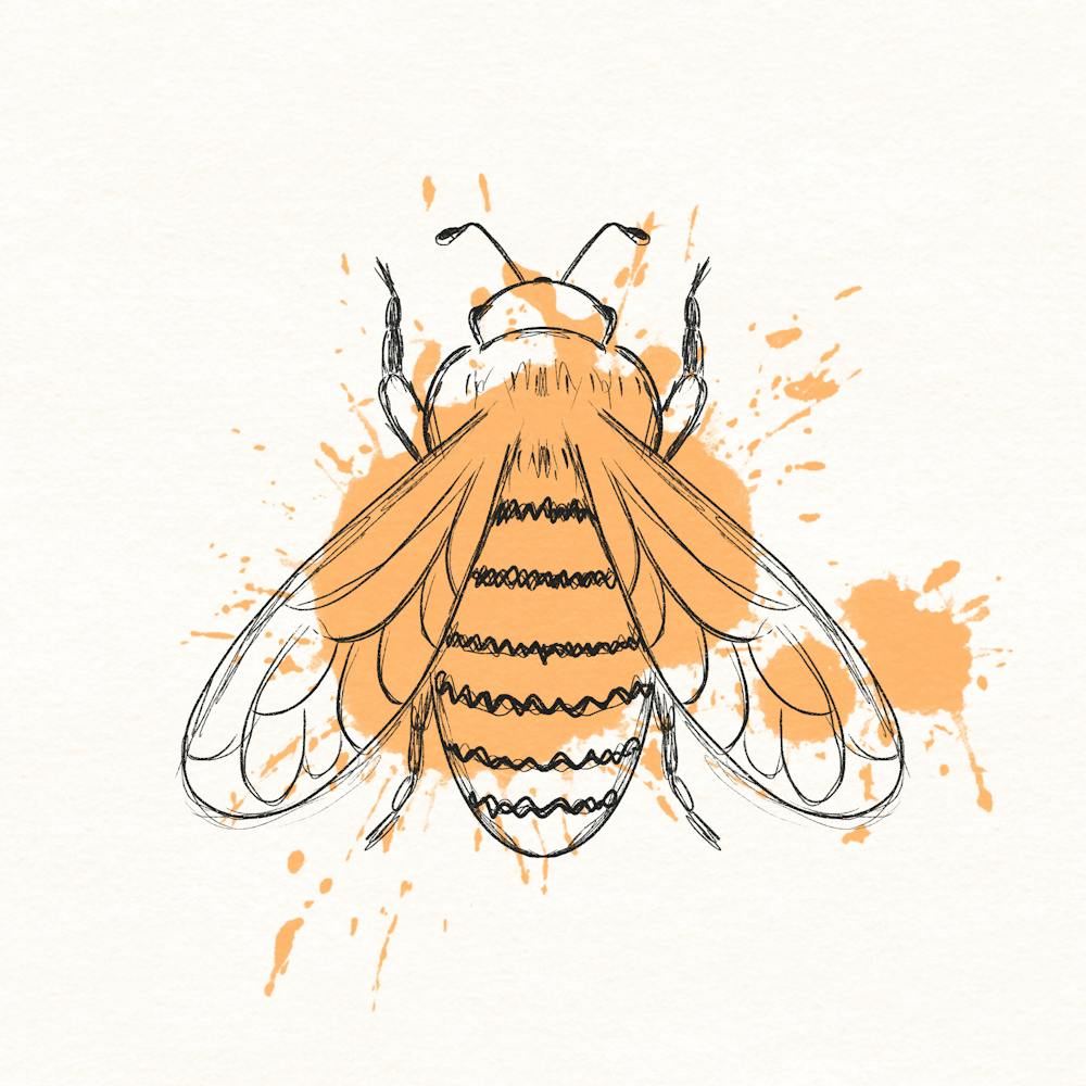 Bee Splash