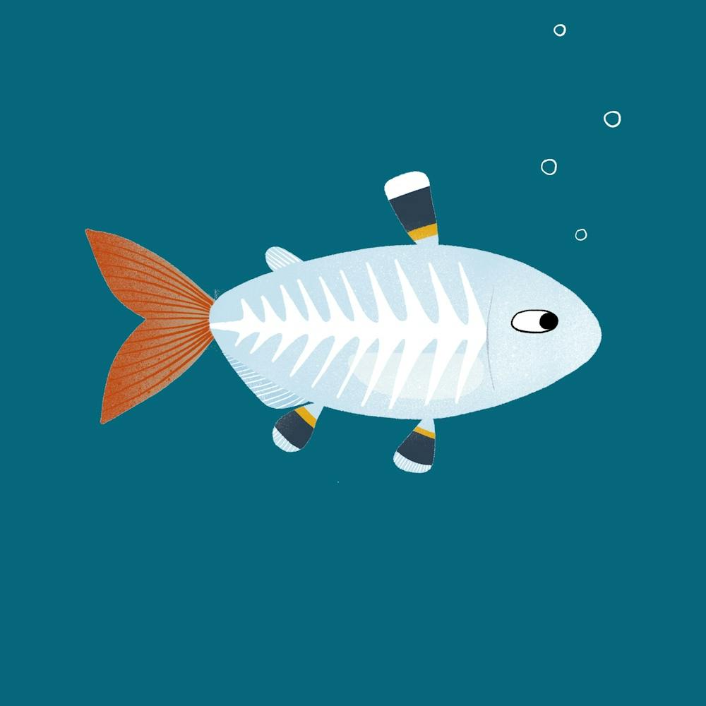 Poisson X-Ray Tetra