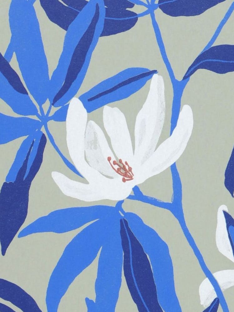 Magnolia Flower