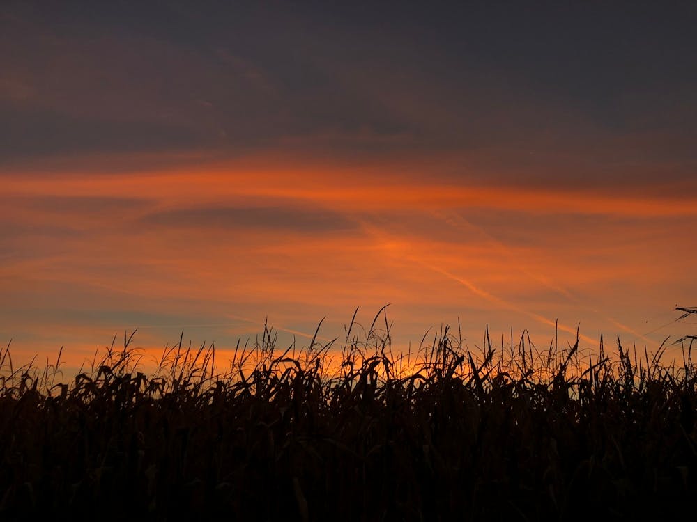 Sunnset