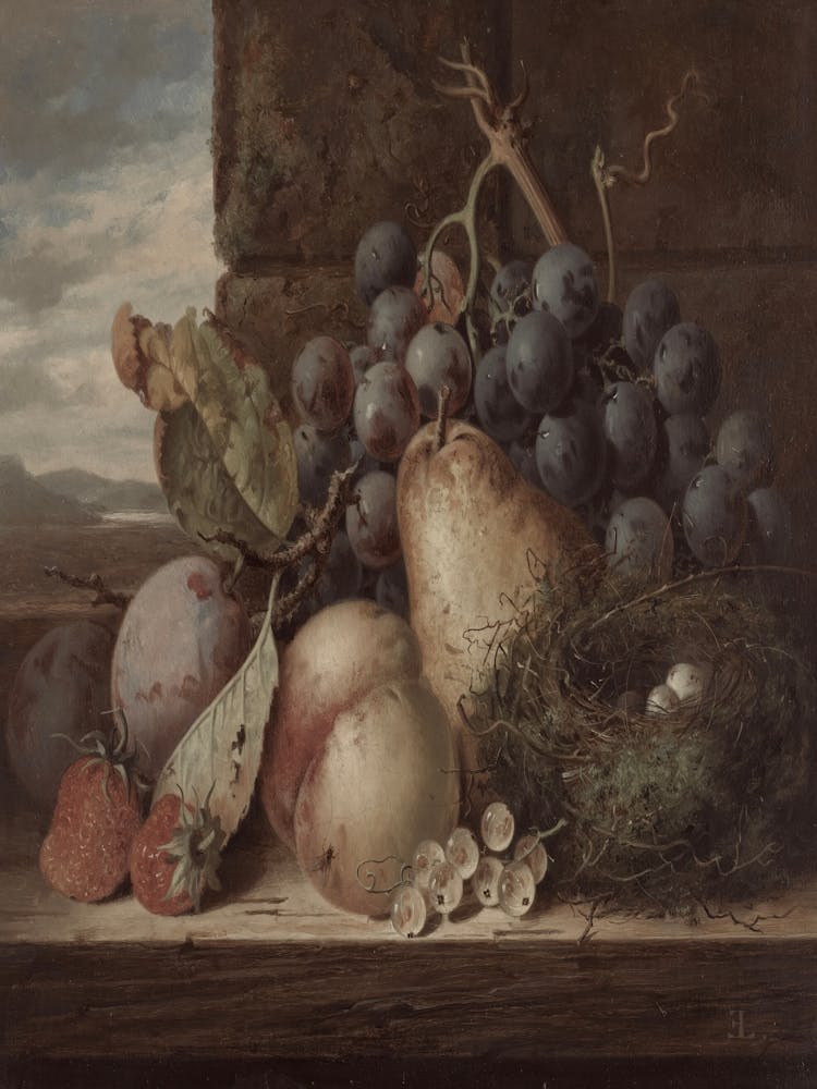 Fruit And Birds On A Window Sill