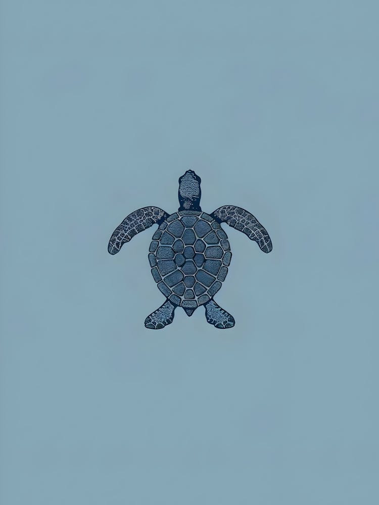 Sea Turtle 6