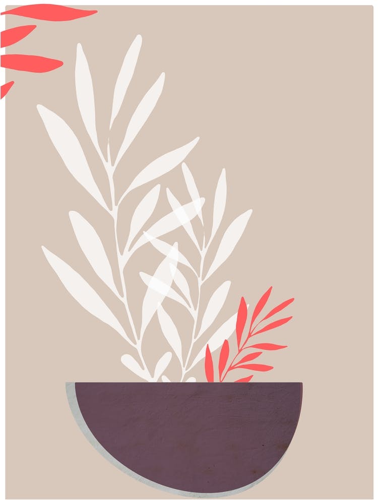 Coral Floral