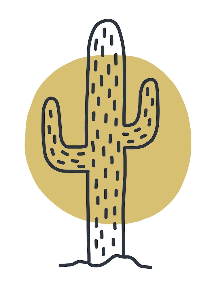 Cactus Moon