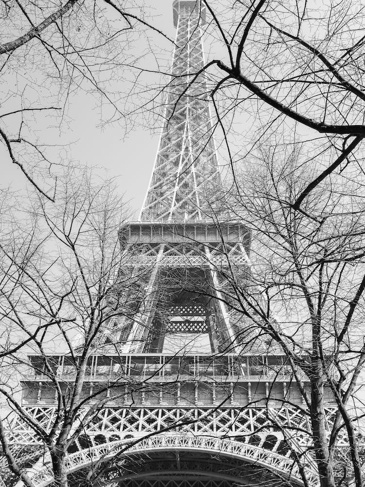 Tour Eiffel In Winter