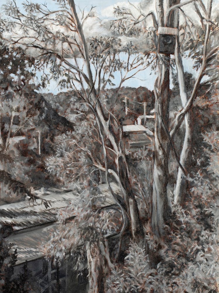 The Possum Box   Brisbane Suburbia