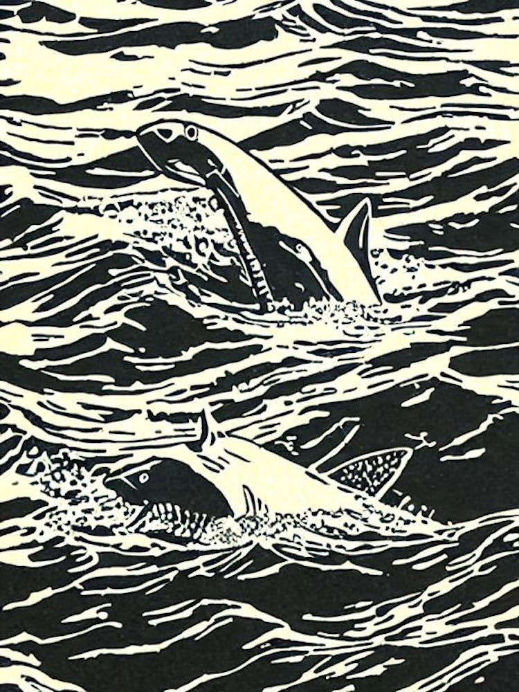 Hammerhead Shark Linocut