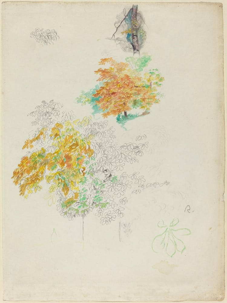 Studies Of Trees (1886), Pierre Auguste Renoir