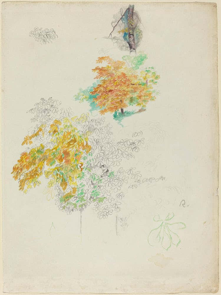 Studies Of Trees (1886), Pierre Auguste Renoir