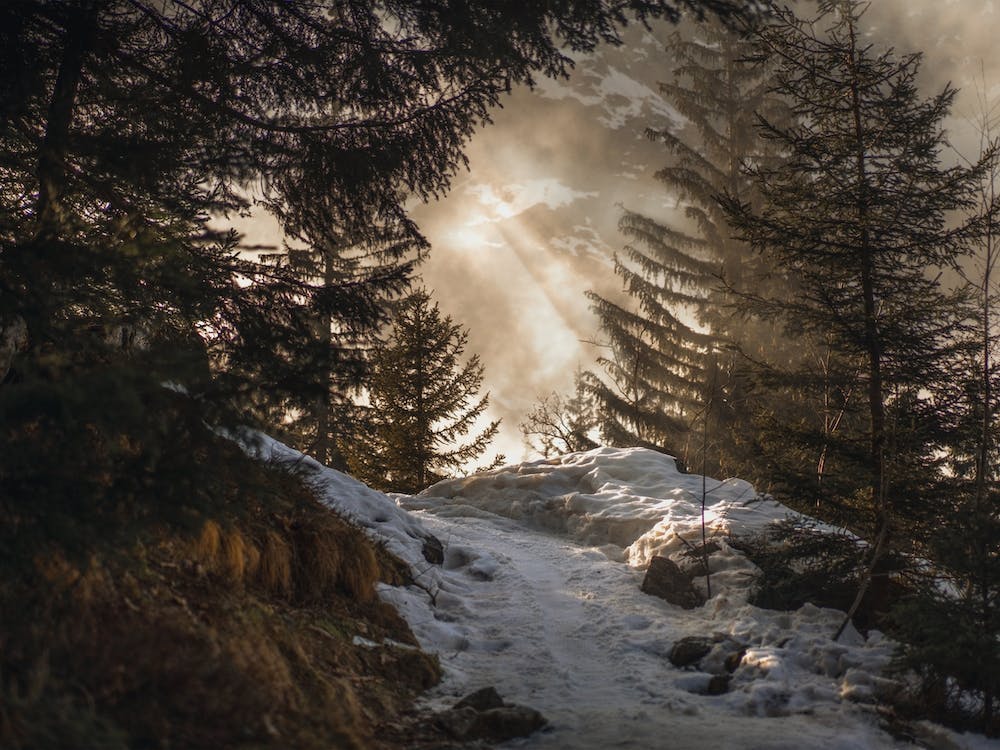 Winterwaldpfad