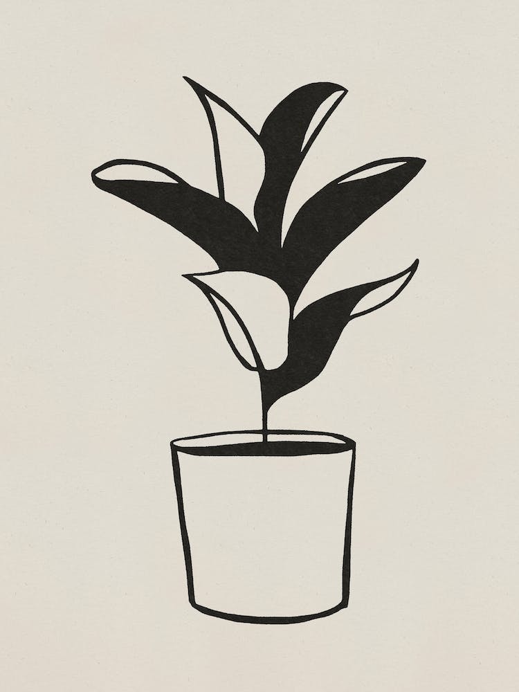 Minimal botanical illustration in black and white