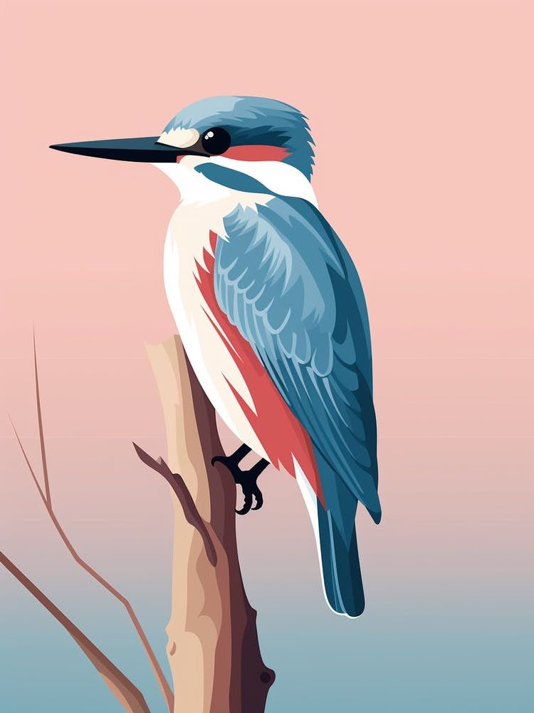 Minimalist Kingfisher 3 Illustration