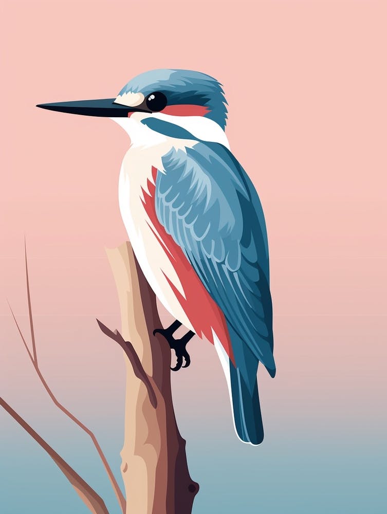 Minimalist Kingfisher 3 Illustration