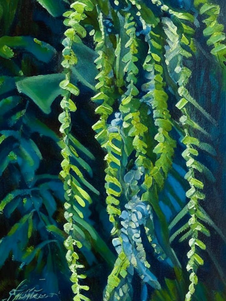 Netted Chain Fern Cézanne Style